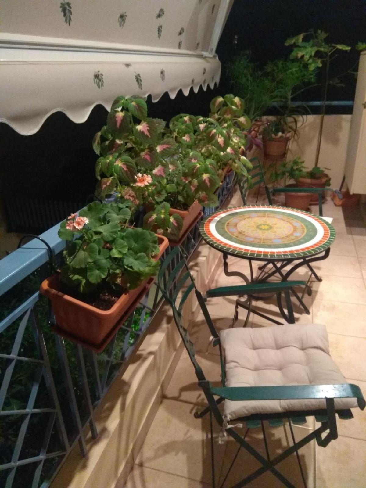Polyxeni Apartment เอเธนส์ ภายนอก รูปภาพ